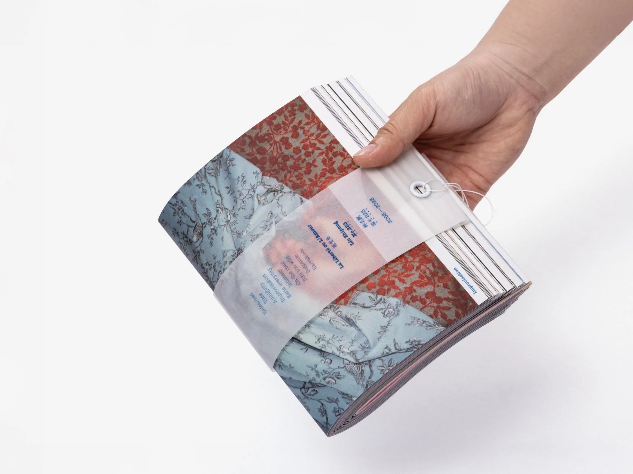 La Liberté ou L'Amour - 20th Anniversary Photobook / Lin Zhipeng